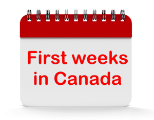What to do in the first two weeks back in Canada