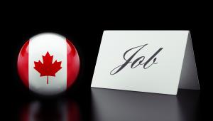 Finding a job in Canada in traditional sectors